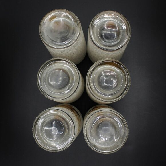 Vintage Highball Glasses Pheasant Design Tumblers West Virginia Glass Retro MCM - Picture 4 of 6